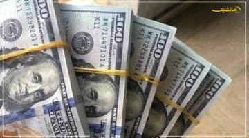 عند 48.20 جنيهًا.. الدولار يسجل أدنى سعر بيع اليوم الثلاثاء تطور جديد في بنك التنمية الصناعية 1